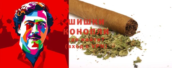 крисы Майский
