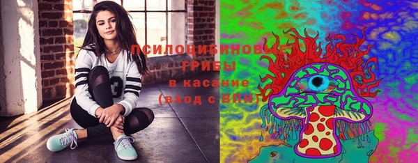 крисы Майский
