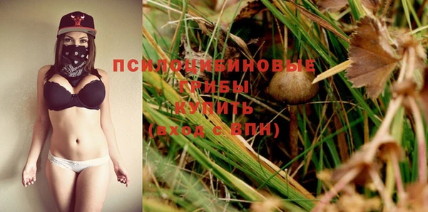 стафф Бердск