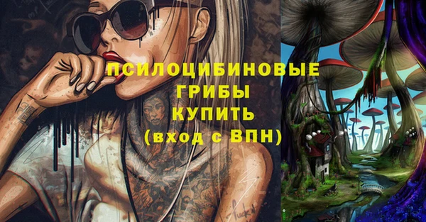 крисы Майский