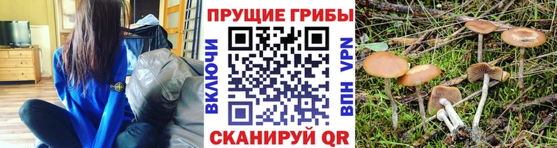 Галлюциногенные грибы мицелий  blacksprut как зайти  Льгов 